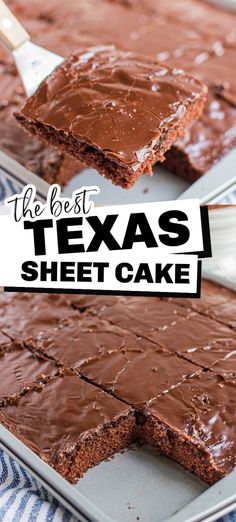 piece of chocolate sheet cake, lower photo sheet cake in sheet cake pan with slice cut out Taste Of Home Texas Sheet Cake, Ree Drummond Texas Sheet Cake, Texas Sheet Cake Box Recipe, Texas Sheet Cake Small Batch, Texas Sheet Cake Jelly Roll Pan, Texas Sheet Cake Easy, Simple Texas Sheet Cake, Texas Sheet Pan Cookies, Chocolate Cookie Sheet Cake