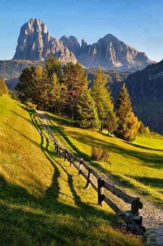 the mountains are covered with trees and grass