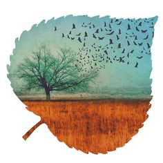 a tree with birds flying over it and in the background is an open field, which appears to be dead