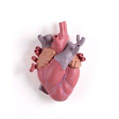 a toy heart on a white background with clippings to the left and right sides