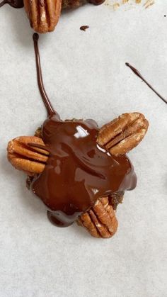 chocolate drizzled on top of cookies with pecans