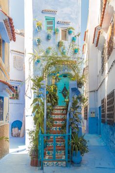 an alleyway with stairs and potted plants