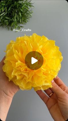 a person holding a yellow flower in front of a potted plant with the words easy crafts on it