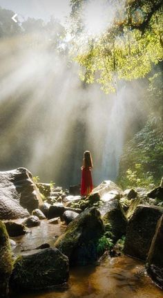 a woman in a red dress is standing on rocks near a stream with sunlight streaming through the trees