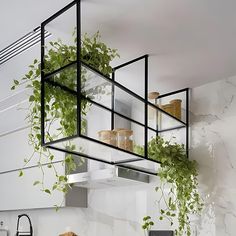 a kitchen with plants hanging from the ceiling