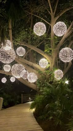 the lights are hanging from the tree in the park at night time, and it looks like they have been made out of balls