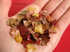 a person's hand is full of leaves on the red tablecloth that they are holding in their palm