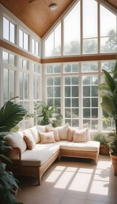 a living room filled with lots of windows and furniture next to plants on the floor