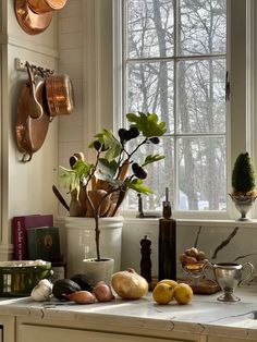 a kitchen counter with pots and pans hanging on the wall next to a potted plant