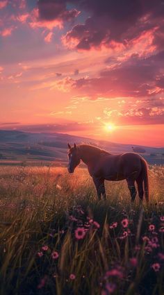 a horse standing on top of a lush green field under a cloudy sky at sunset