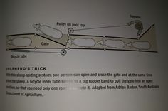 the instructions for how to use sheared sheep's trick