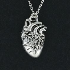 Anatomical Heart Necklace 3D Charm Hollow Back Medical Lifelike Human heart pendant necklace Biology Jewelry, Anatomical Heart Necklace, Human Organ, Doctor Gift, Jewelry Heart, Anatomical Heart, Human Heart, Doctor Gifts, Silver Heart Pendant