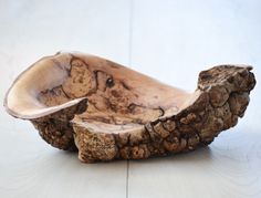 a wooden bowl sitting on top of a white floor next to a tree stump slice