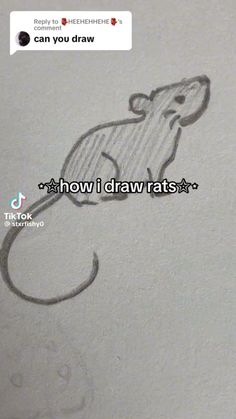 a drawing of a mouse with the words how i draw rats