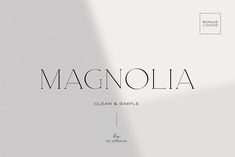 Magnolia. Modern Serif Font Contemporary Serif Font, Minimal Serif Fonts, Luxury Logo Font, Elegant Adobe Fonts, Modern Fonts Minimalist, Dainty Fonts, Delicate Typography, Clean Modern Fonts, Magnolia Logo