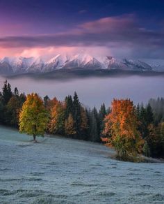 the mountains are covered in snow and trees with fall foliage on them, as the sun sets