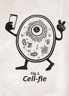 an advertisement for cell - fie is shown with a cartoon character holding a smart phone