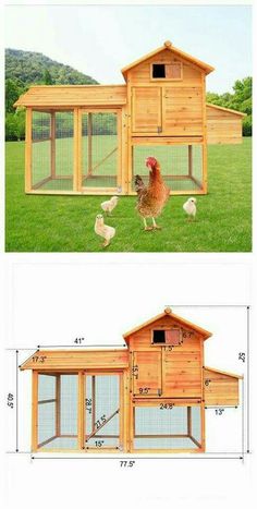 the chicken coop is made out of wood and has two separate sections for chickens to walk around