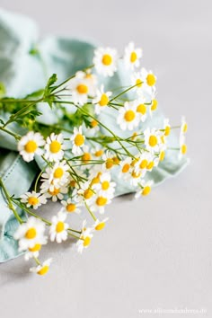 some daisies are sitting on top of a blue napkin with white and yellow flowers