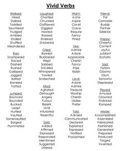 the words in different languages that are used to describe what they mean and how they use them