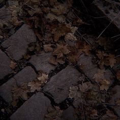 leaves on the ground in front of a brick walkway