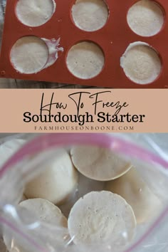 homemade sourdough starter recipe in a plastic container with text overlay that reads how to freeze sourdough starter