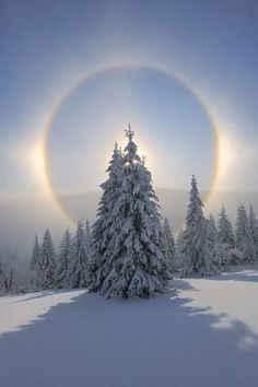 two circles are seen in the sky above snow covered trees