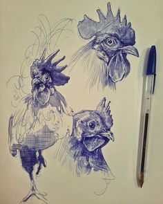 three drawings of roosters on paper next to a pen