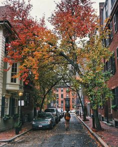 a woman walking down a street next to parked cars and trees with autumn leaves on them