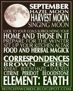 a poster with the words in different languages on it and an image of a full moon