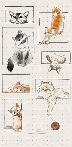 an image of cats in different positions on a sheet of paper with watercolors