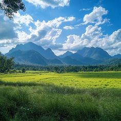 a field with mountains in the background under a blue sky filled with white fluffy clouds