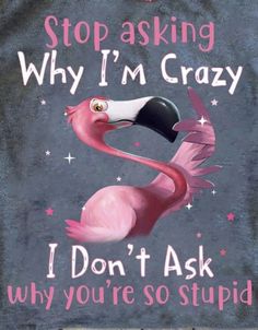 Sweatshirt Sayings, Flamingos Quote, Day Quotes Funny, Flamingo Pictures, Fancy Flamingo, Funny Day Quotes, Old Lady Humor, Funny Flamingo, I'm Crazy