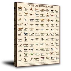 the types of dinosaurs that are on display in a museum poster, with their names and