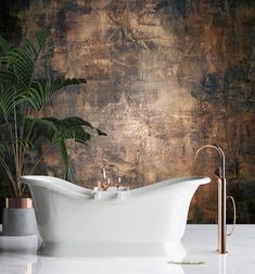 a white bath tub sitting on top of a counter next to a potted plant