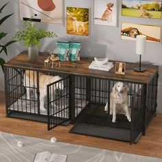 two dogs are sitting in their caged kennels with pictures on the wall