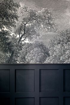 a black and white photo with trees on the wall