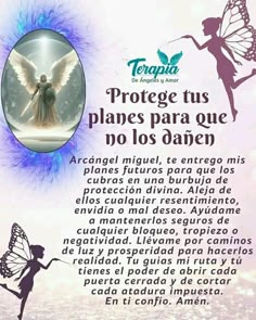 the back cover of a book with an image of a fairy holding a butterfly