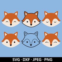 six fox heads with eyes closed in different positions