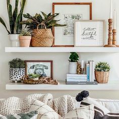 a living room filled with lots of furniture and plants on top of white shelving