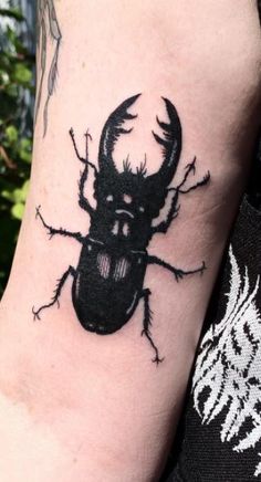 a black beetle tattoo on the arm