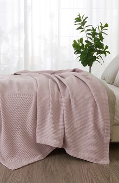 a bed covered in a pink blanket next to a potted plant on top of a wooden floor