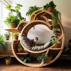 a cat is sitting on a couch made out of plants