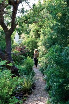 a person walking down a path in the middle of some trees and plants on either side of them