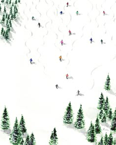 an aerial view of people skiing down a snow covered slope with trees in the foreground