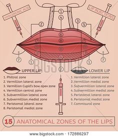 Botox And Fillers Logo, Injection Image, Hyaluronic Acid Lips, Facial Fillers