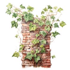 a painting of ivy growing on a brick wall