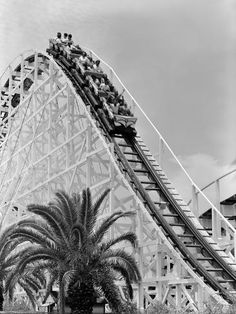 an amusement park ride with palm trees in the foreground and people riding on it