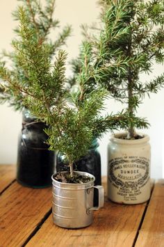 two tin cans with plants in them sitting on a wooden table next to each other