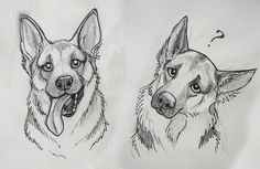 two drawings of dogs with their mouths open